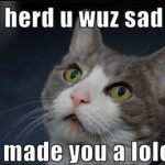 LOLCAT
